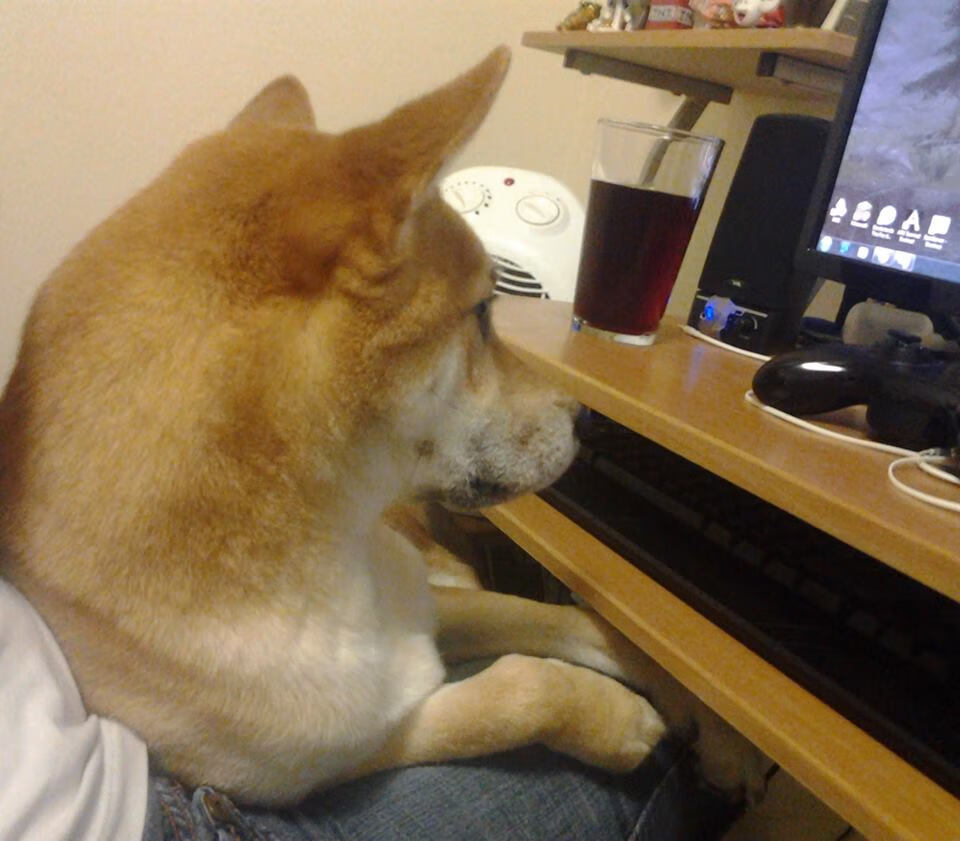 九游网-【专业点评】比赛中罚分判决大败局背后的战术失误，比赛中罚球得几分