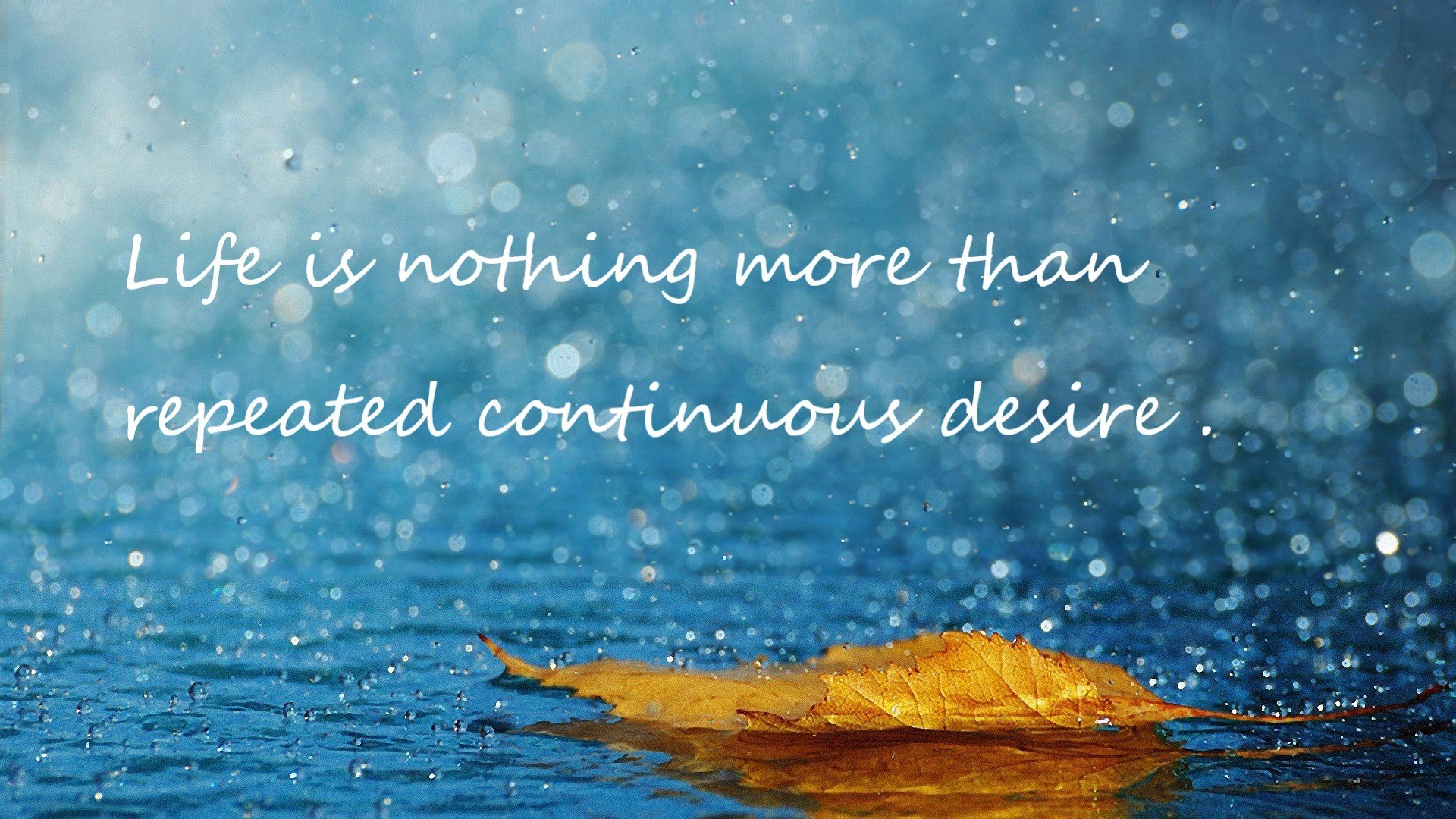 九游游戏中心-不可思议的“终结者”，欧冠中的神级射手，欧冠最佳射手奖