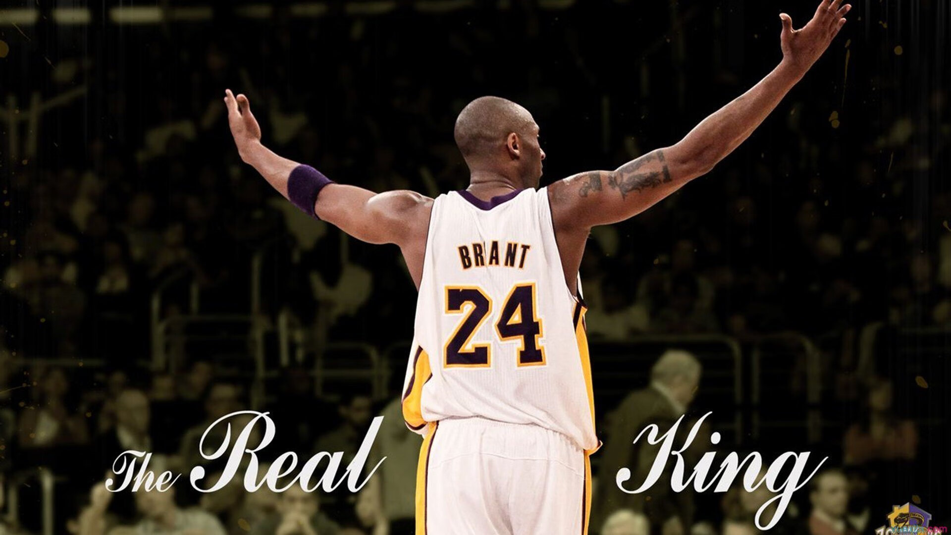 九游网游官网-布鲁诺·卡博克洛在NBA夏季联赛中展现团队合作精神，布鲁诺卡波科洛体测数据