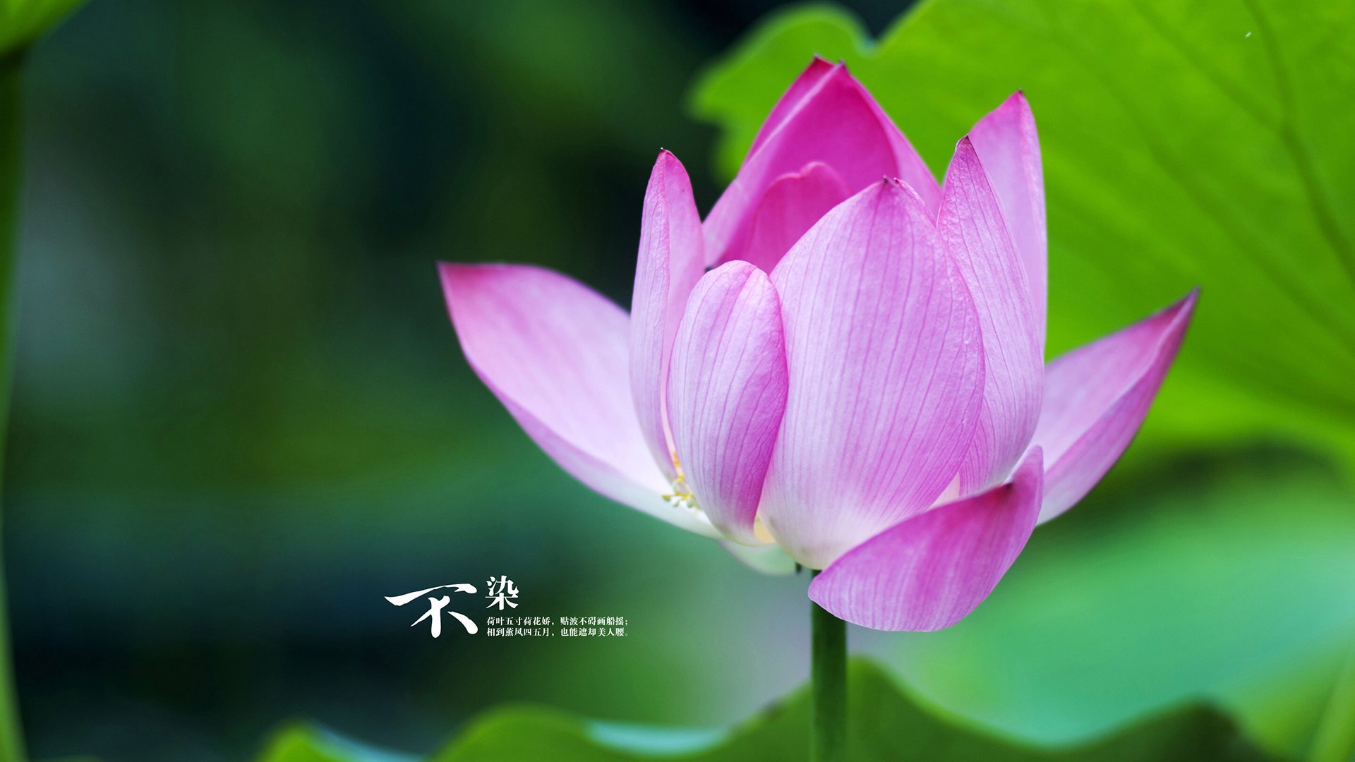 九游网页版官网入口-新版篮球联赛规则解析，变化背后的思考与影响，篮球联赛规则表