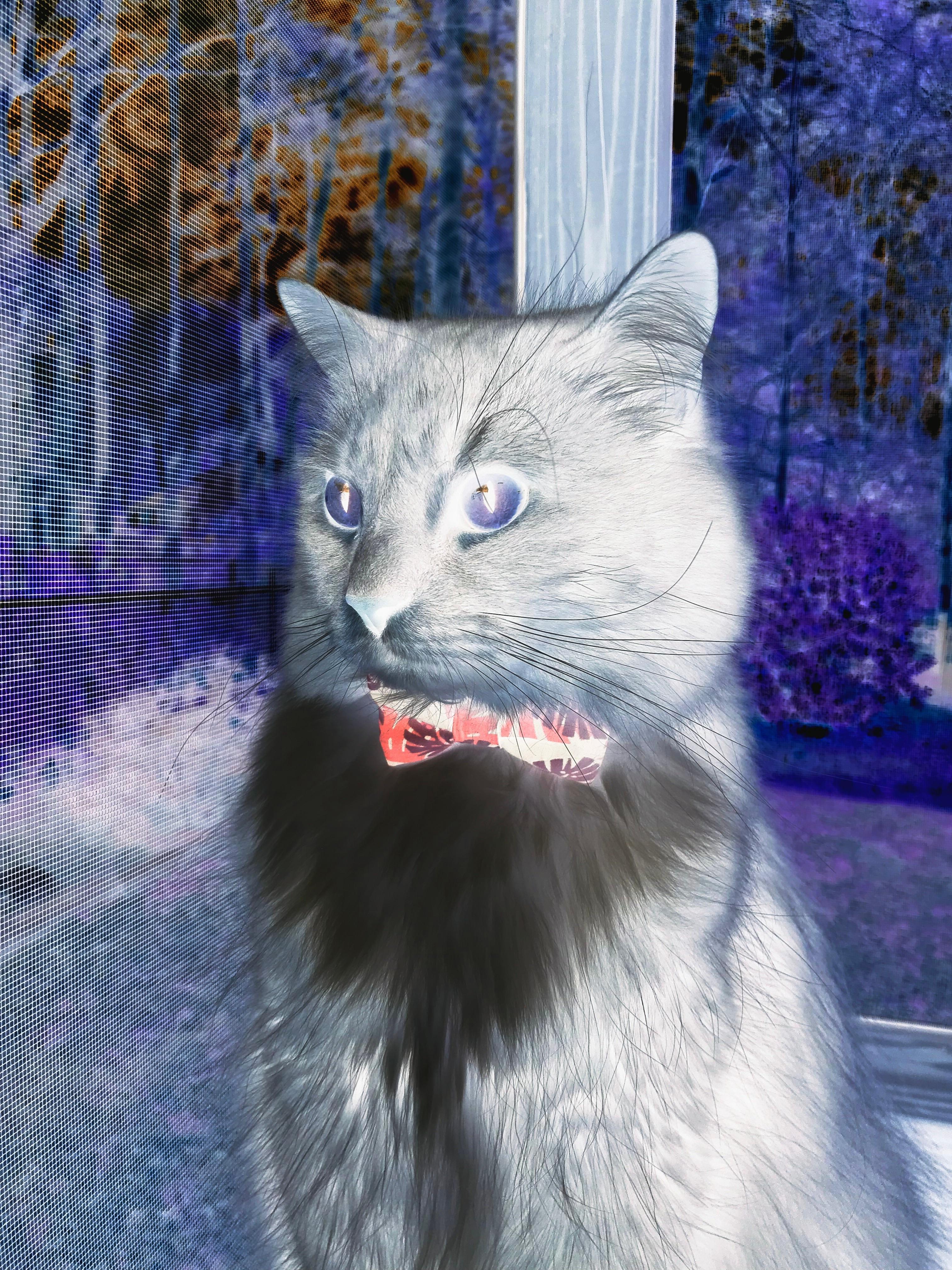 九游下载官网-日本马术协会与学校合作，开展马术教育课程，推广马术文化。，日本马术场地惊现恐怖场景