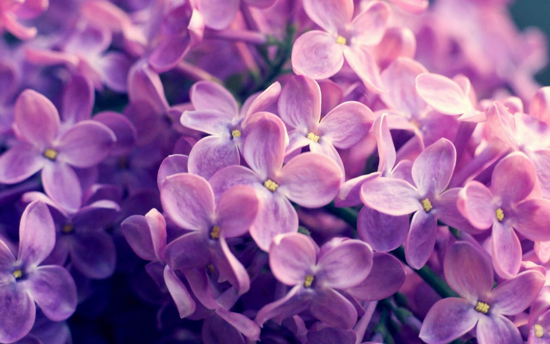 九游娱乐(jiuyou)官方网站-巴朗加国王赛季目标明确，巴芘布朗