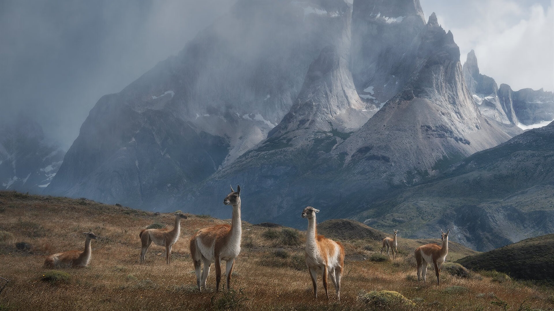 九游下载中心-欧锦赛半决赛展开激烈角逐，胜者将面对强敌，欧锦赛视频