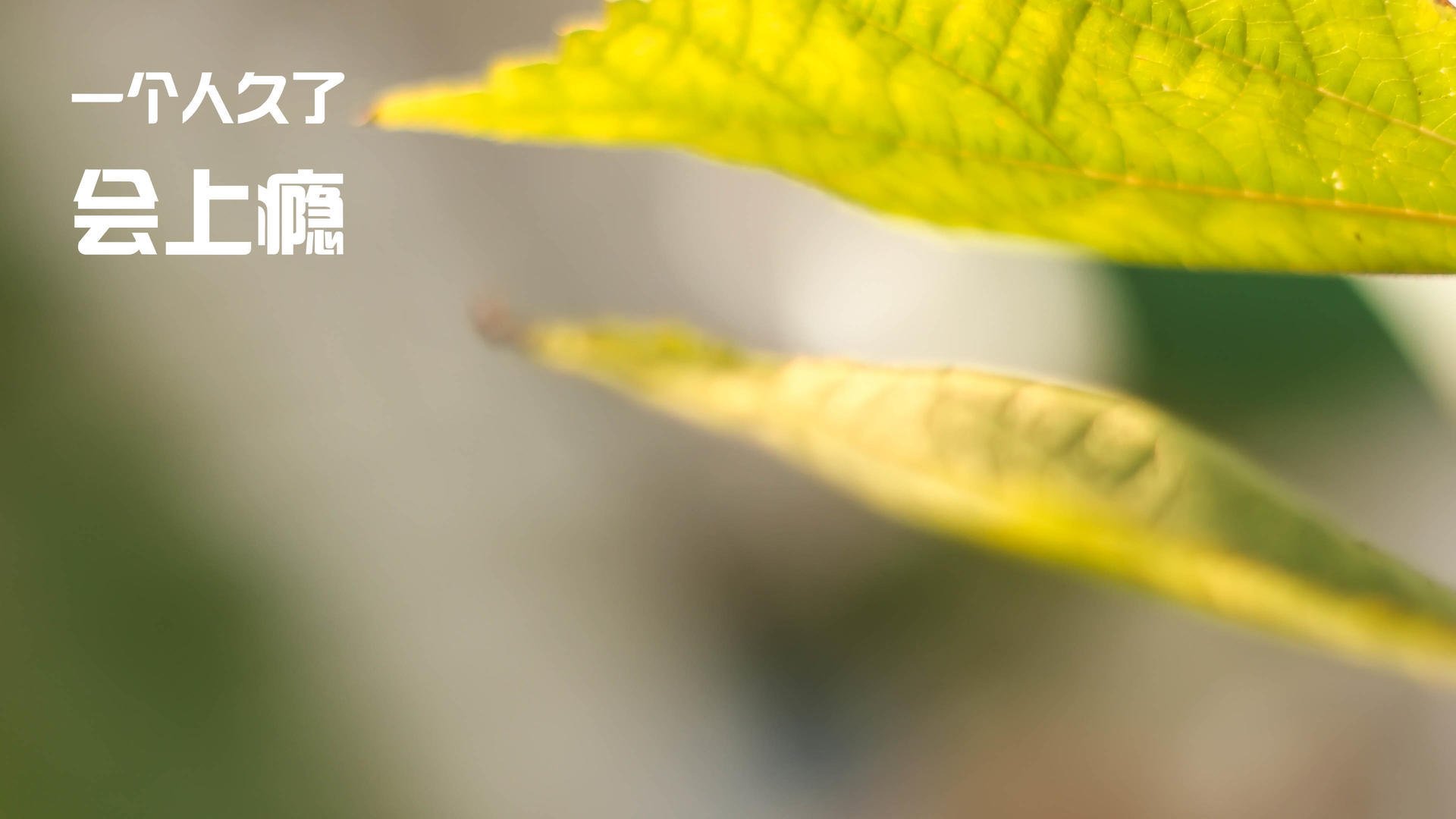 九游官网下载电脑版-突发篮球训练馆起火赛事延期，篮球训练学校官网