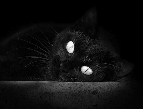 九游9游-CBA多支球队加强后备力量 培养新秀，cba后卫球员排名