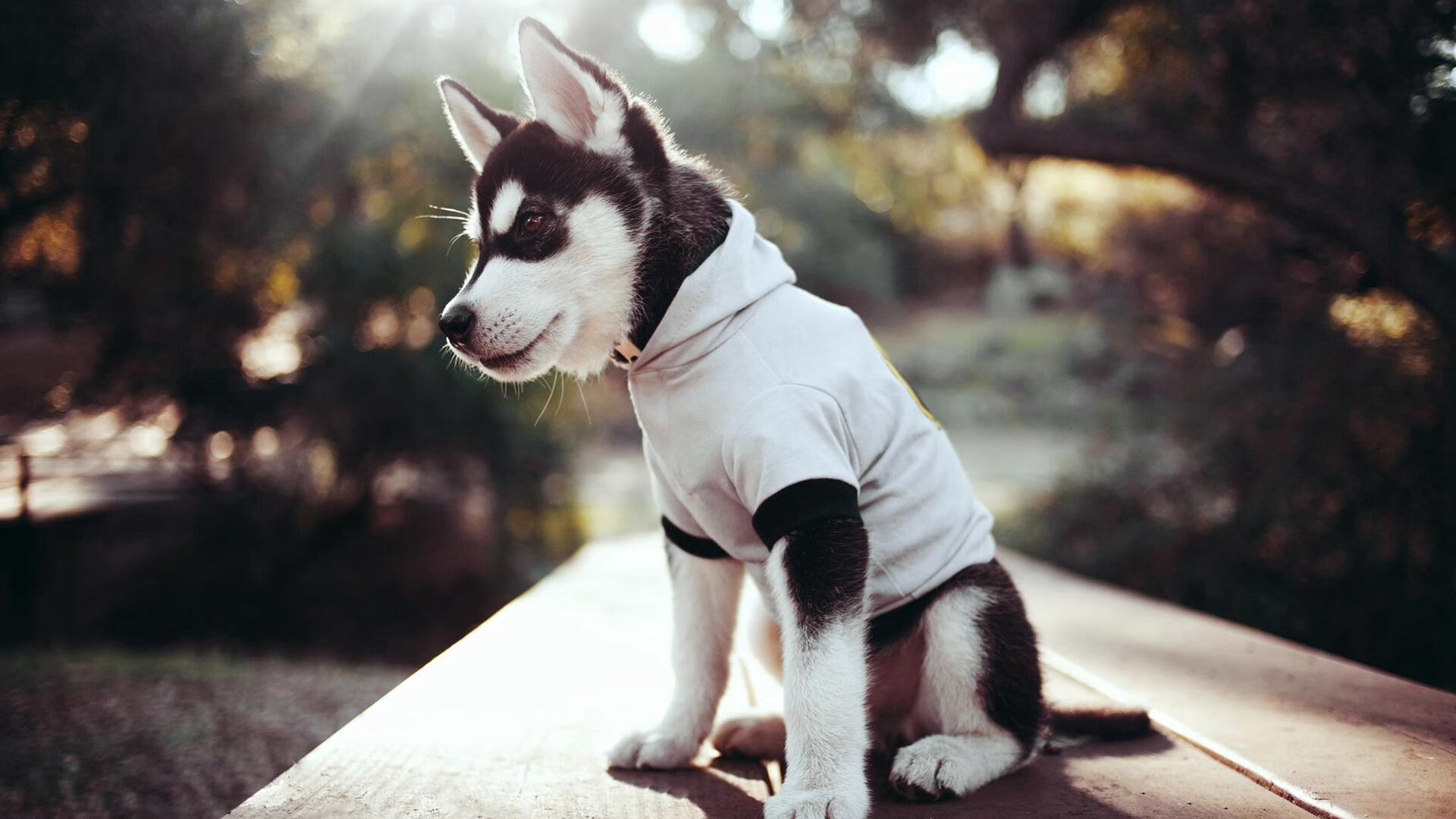 九游娱乐官网 (jiuyou)-数据证明转身推壁质量决定中程表现