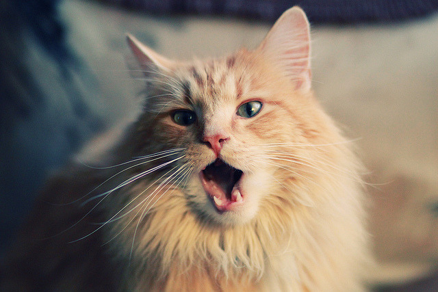 九游下载安装-节奏切换是否是破紧逼防守的最佳方案，节奏把控