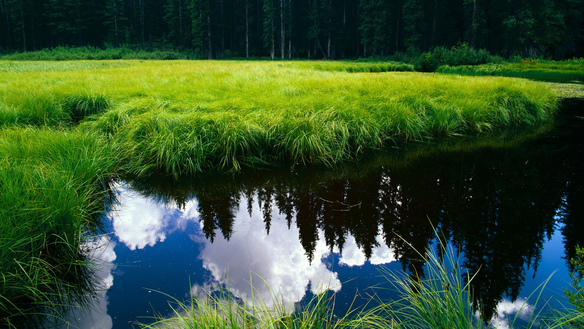 九游（jiuyou.com）游戏-“伊万·戈梅斯的突破性表现，帮助阿根廷美洲狮队提升攻防实力”