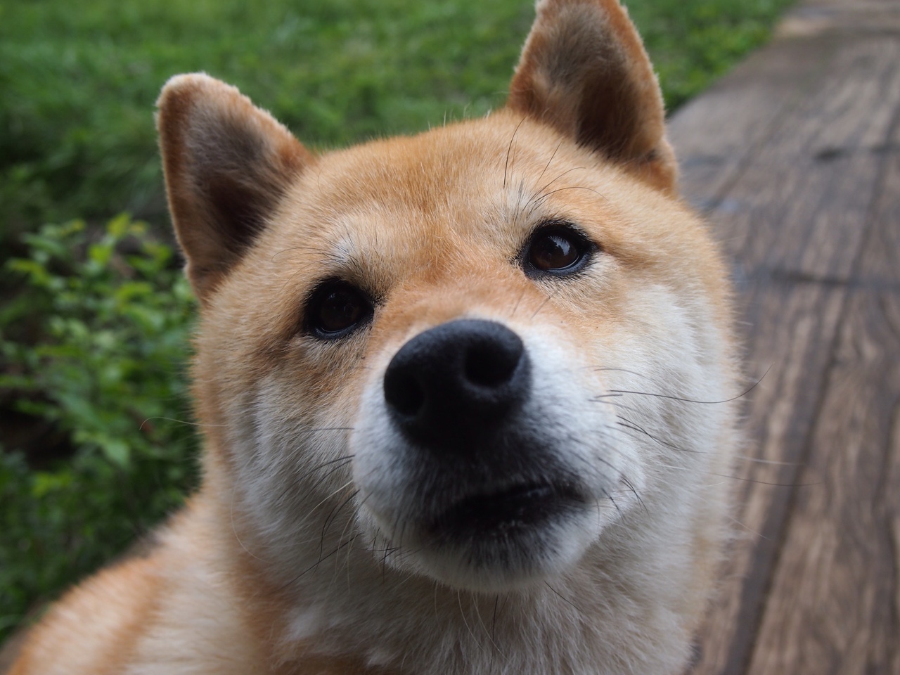 九游网页版入口-战术演练课涵盖多套体系提升队员战术理解与临场判断能力，战术表演方案