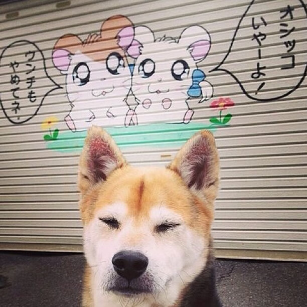 九游网页版官网-达米恩·麦肯齐：全黑队的进攻先锋，速度与技巧并存